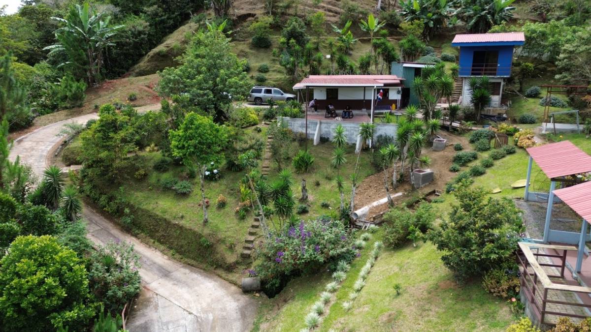 Property for sale in San Antonio de Santa Cruz, Turrialba