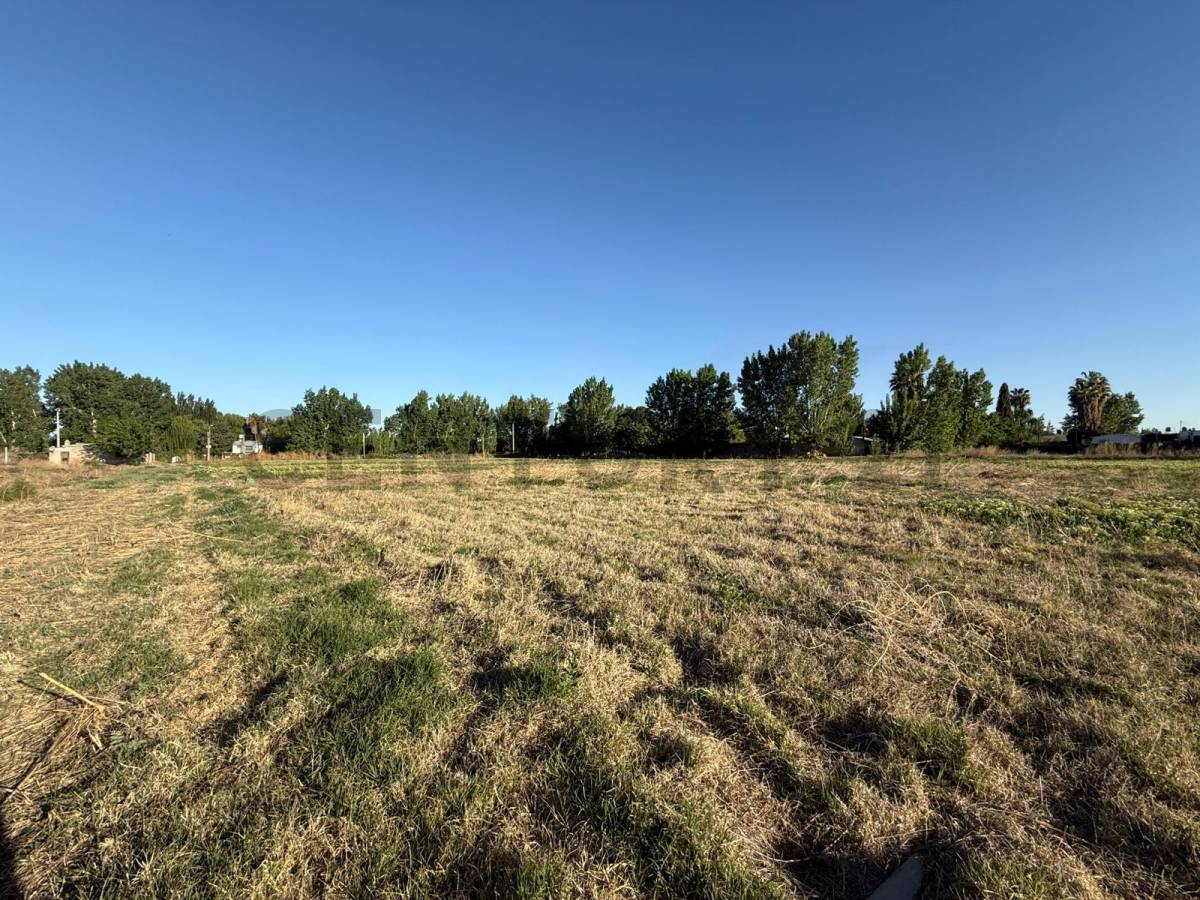 Terreno en Venta en Guaymallen, Mendoza