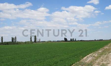 Campo en Venta en 25 de Mayo, San Juan