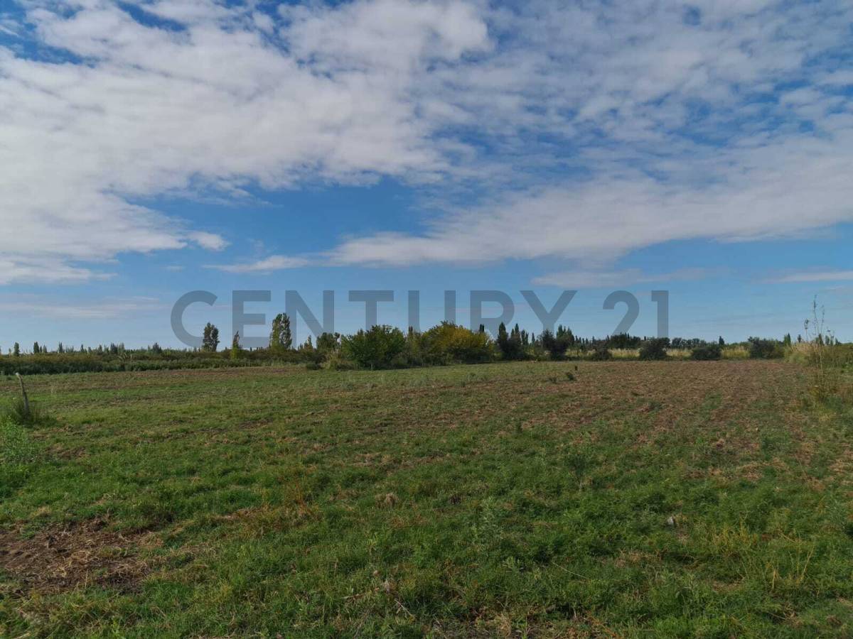 Terreno en Venta en San Rafael, Mendoza