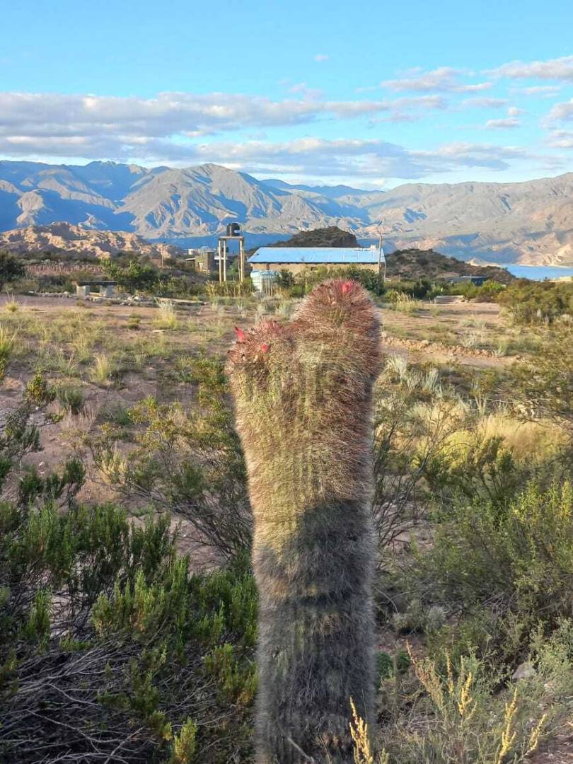 Terreno en Venta en Lujan de Cuyo, Mendoza