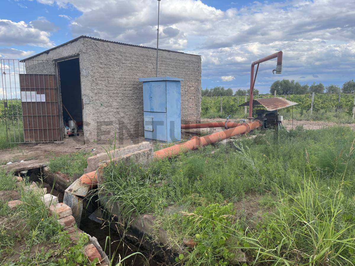 Terreno en Venta en Lavalle, Mendoza