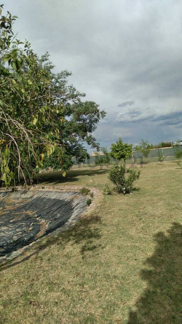 Terreno en Venta en Maipu, Mendoza