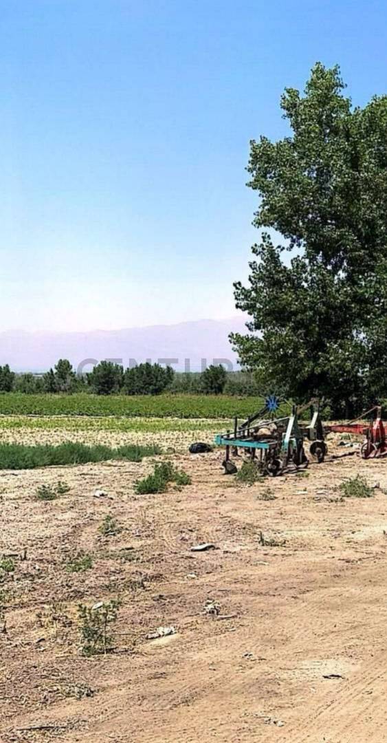 Casa Quinta en Venta en Tupungato, Mendoza