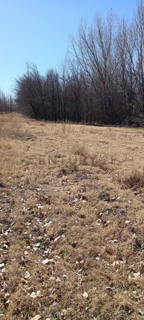 Terreno en Venta en Tunuyan, Mendoza