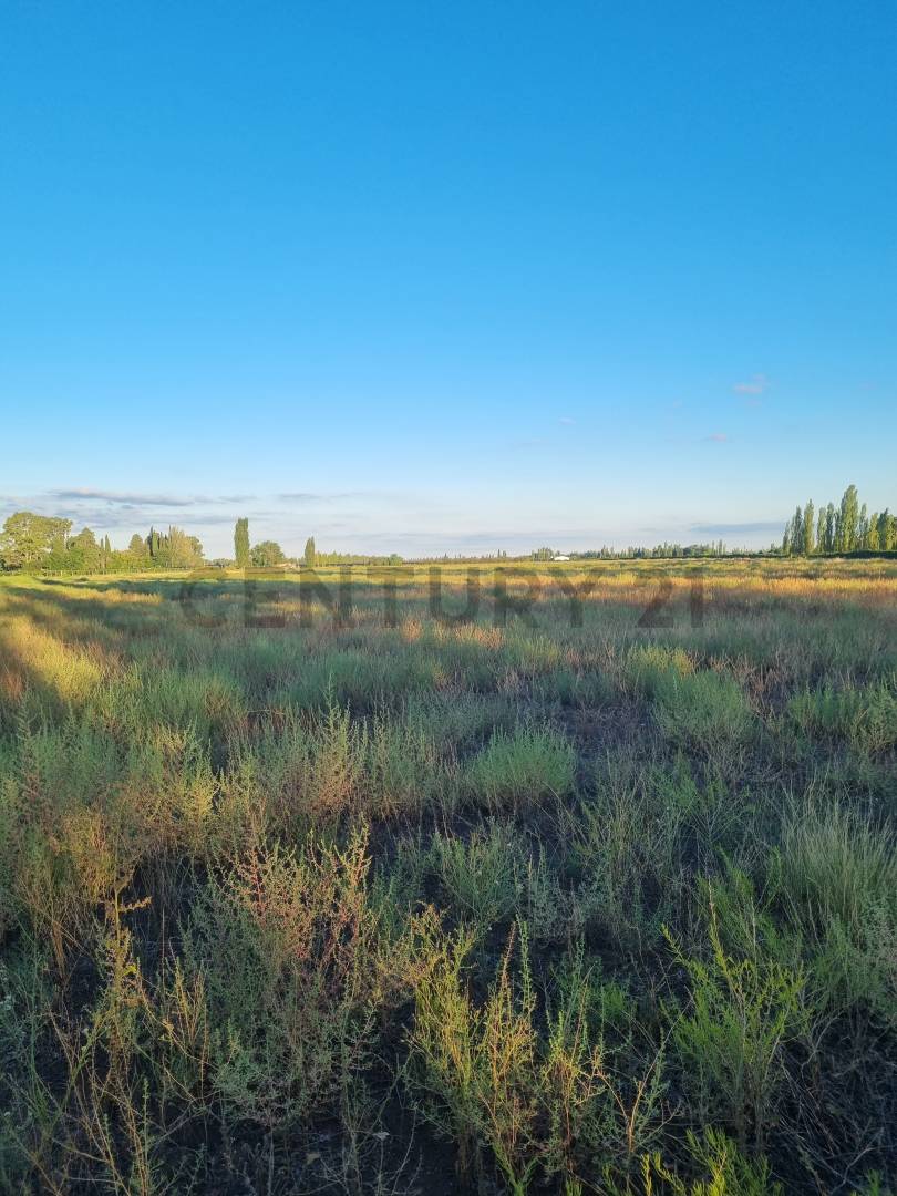 Casa Quinta en Venta en San Rafael, Mendoza