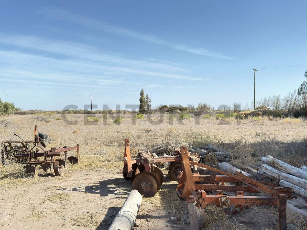 Terreno en Venta en Lavalle, Mendoza