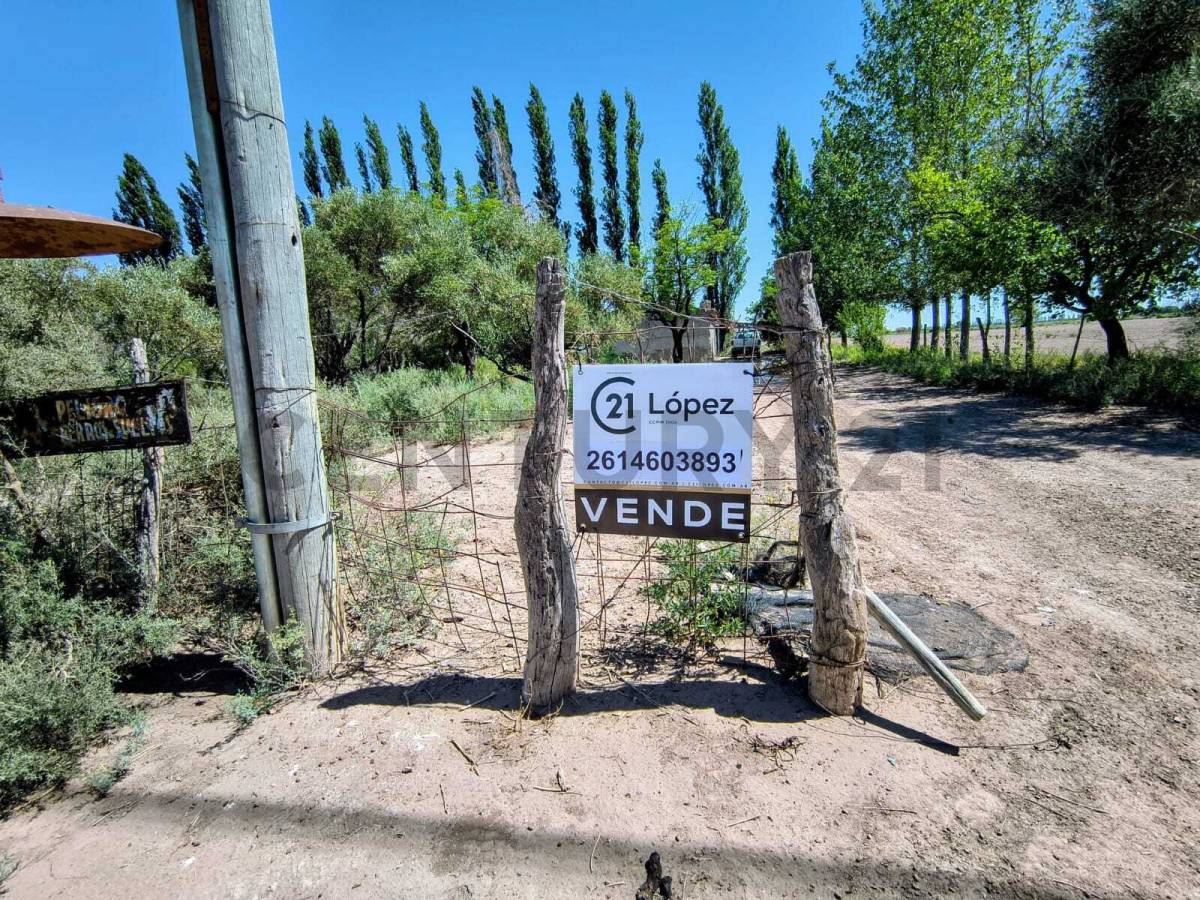 Campo en Venta en San Martin, Mendoza