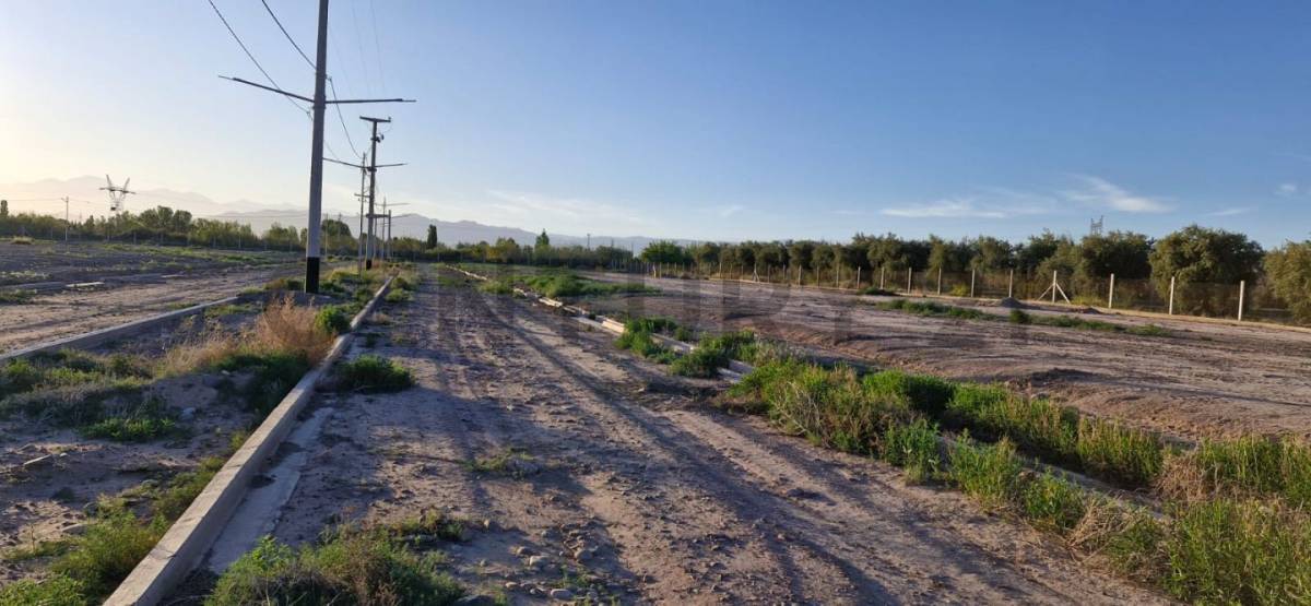 Terreno en Venta en Maipu, Mendoza