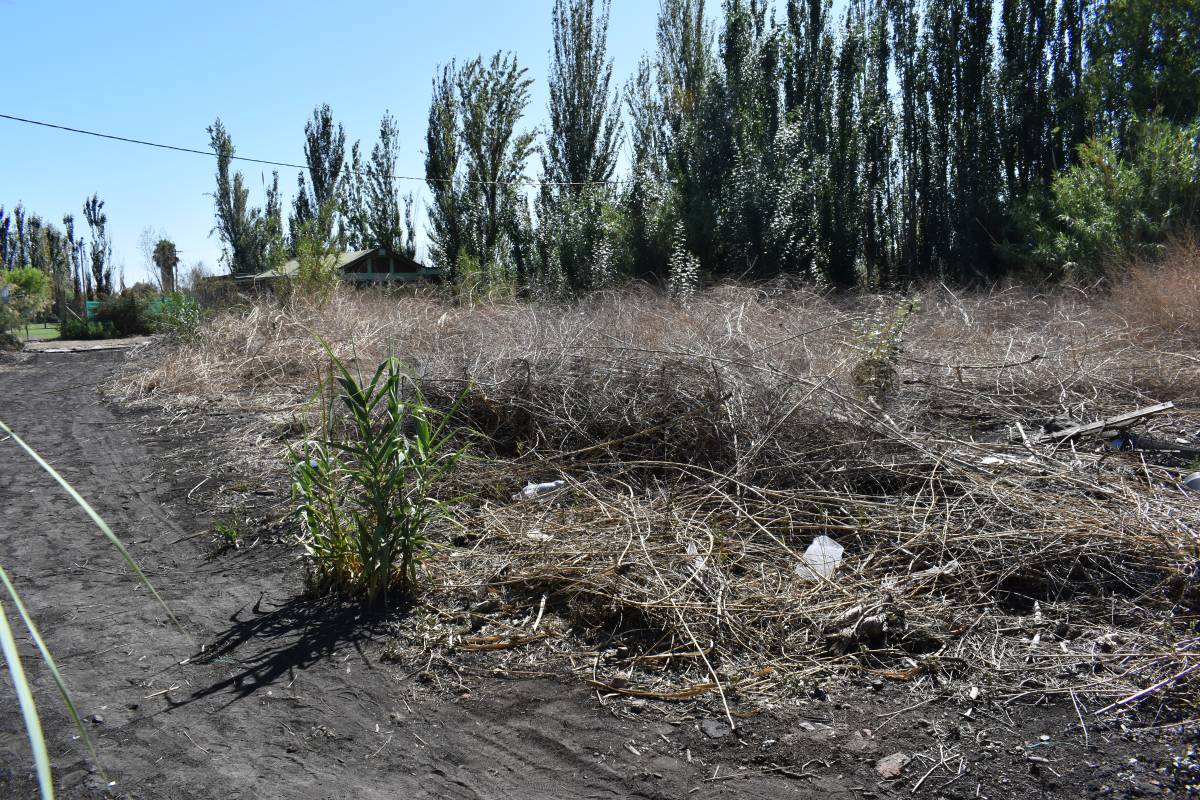 Terreno en Venta en Guaymallen, Mendoza