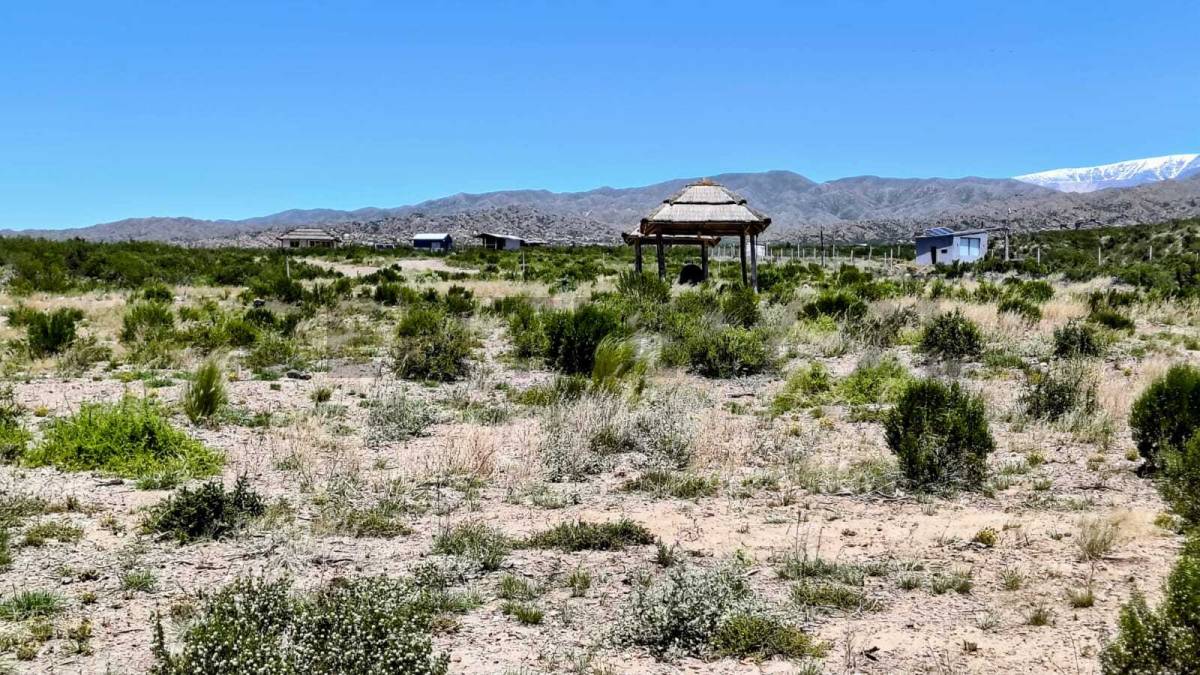 Terreno en Venta en Lujan de Cuyo, Mendoza