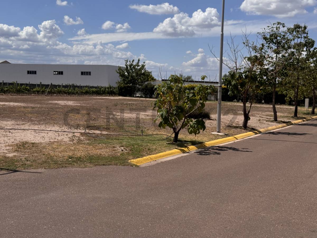 Terreno en Venta en Lujan de Cuyo, Mendoza