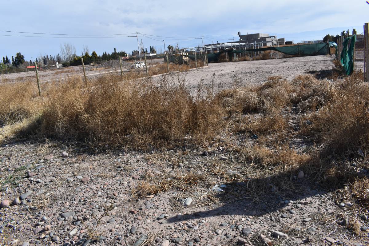 Terreno en Venta en Maipu, Mendoza