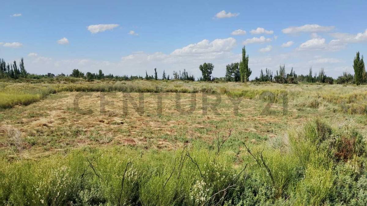 Terreno en Venta en Guaymallen, Mendoza