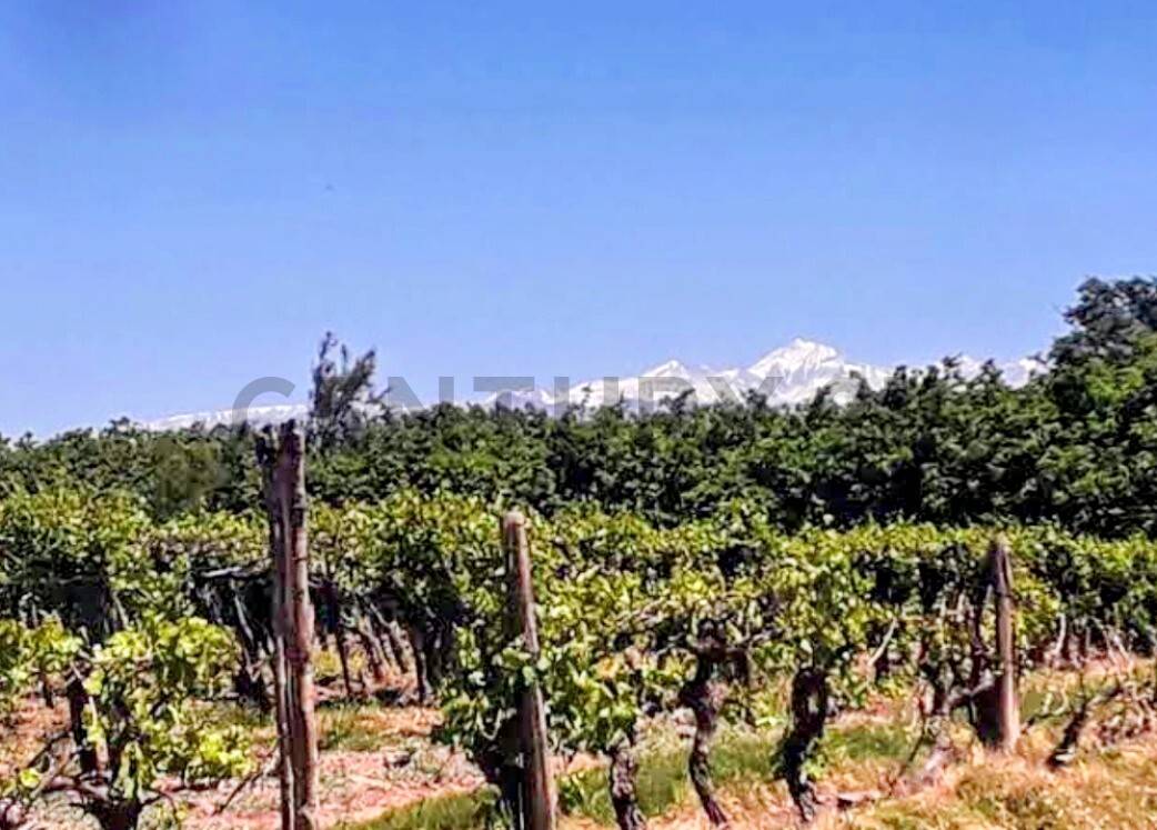 Terreno en Venta en Lavalle, Mendoza