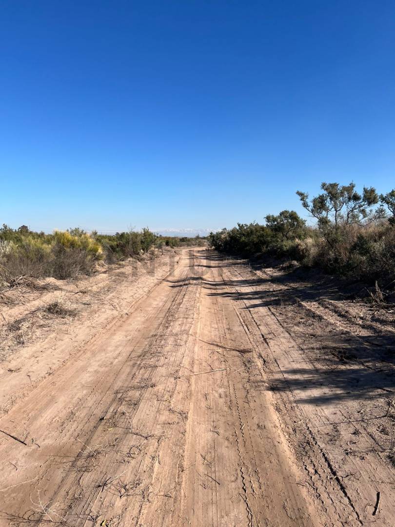 Terreno en Venta en Junin, Mendoza