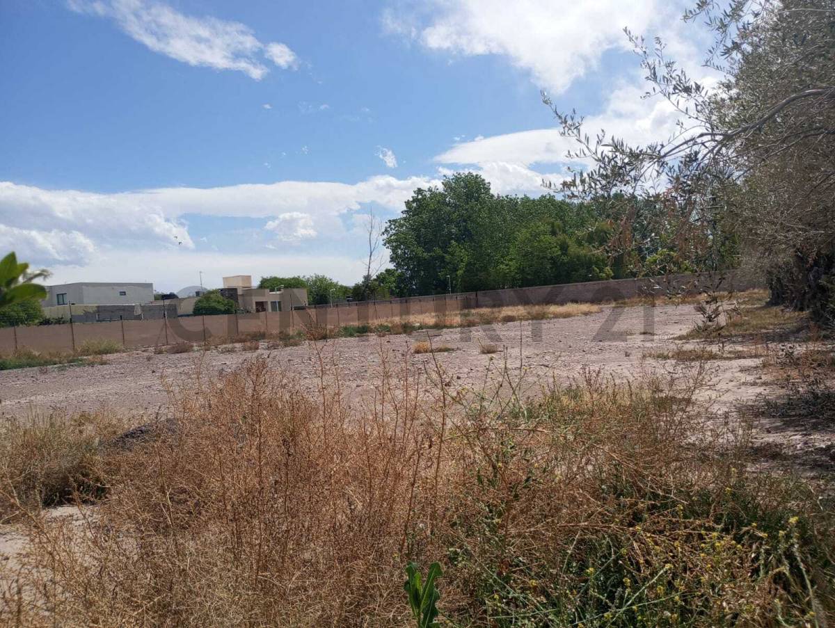 Terreno en Venta en Maipu, Mendoza