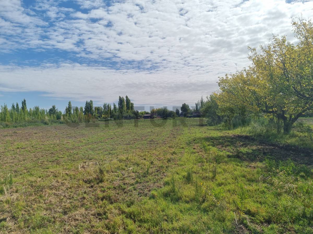 Terreno en Venta en San Rafael, Mendoza