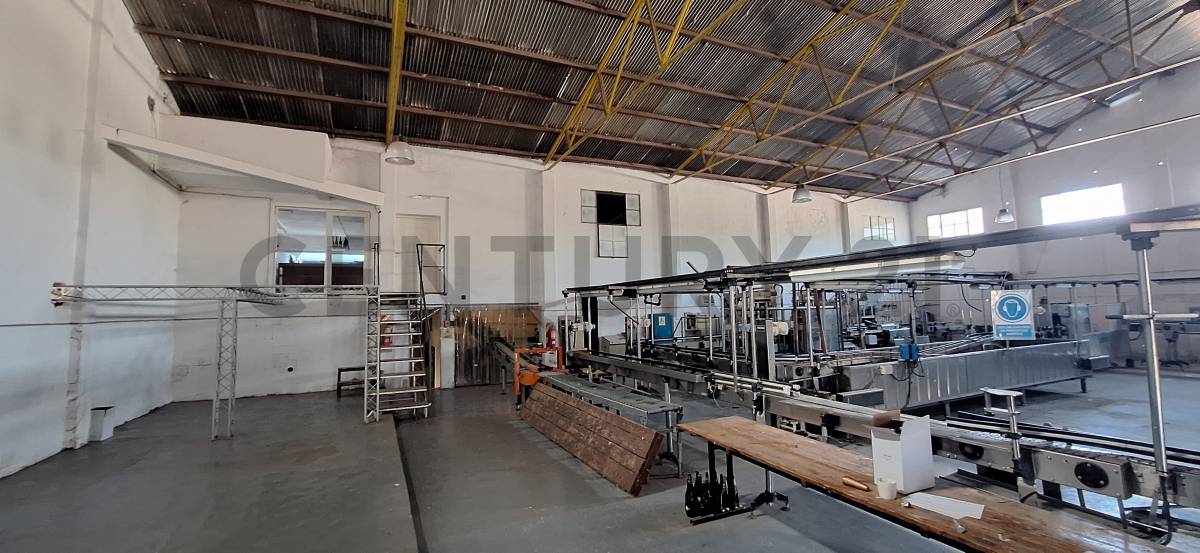 Galpon en Venta en Maipu, Mendoza