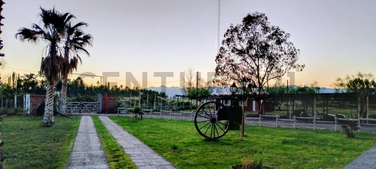 Casa Quinta en Venta en Lavalle, Mendoza