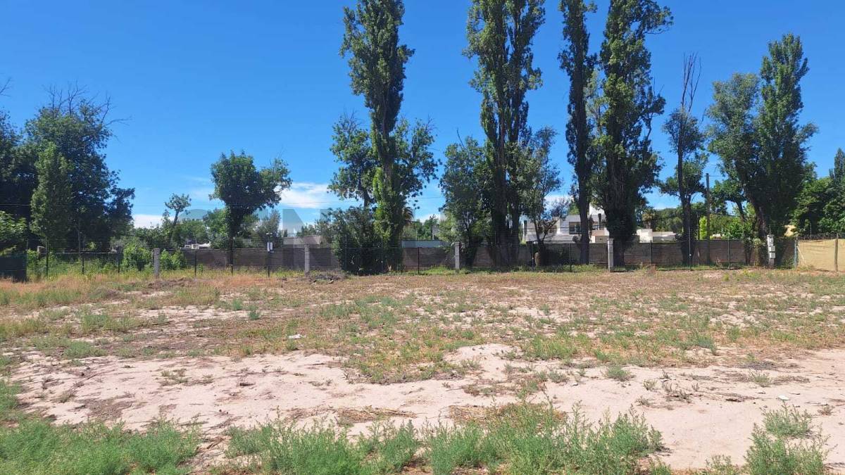 Terreno en Venta en Lujan de Cuyo, Mendoza