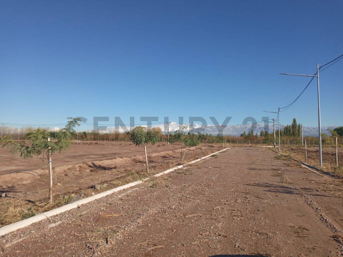 Terreno en Venta en Maipu, Mendoza