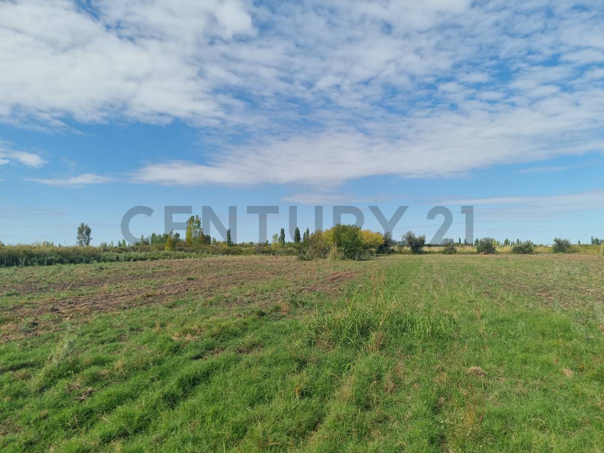 Terreno en Venta en San Rafael, Mendoza