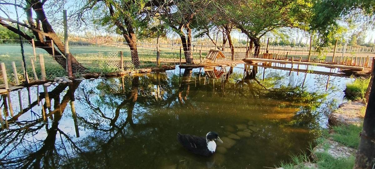 Casa Quinta en Venta en Lavalle, Mendoza