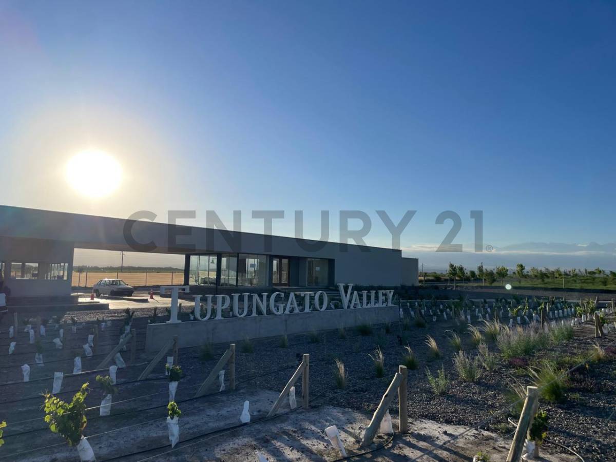Terreno en Venta en Tupungato, Mendoza