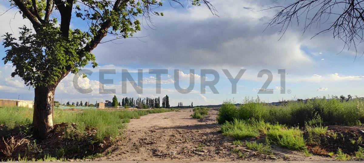 Terreno en Venta en Maipu, Mendoza