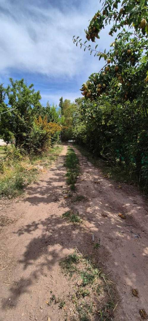 Terreno en Venta en Maipu, Mendoza