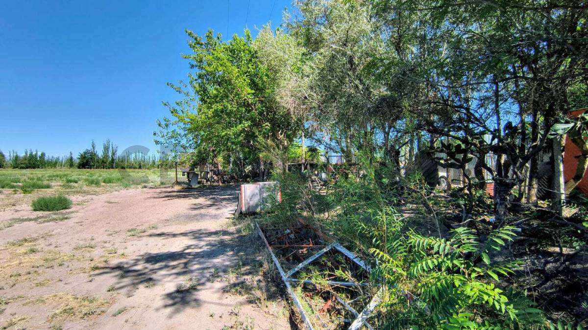 Campo en Venta en San Martin, Mendoza