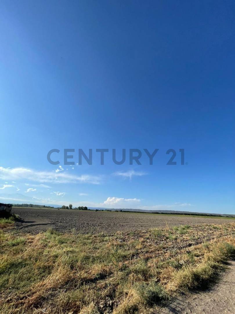 Casa Quinta en Venta en Tupungato, Mendoza