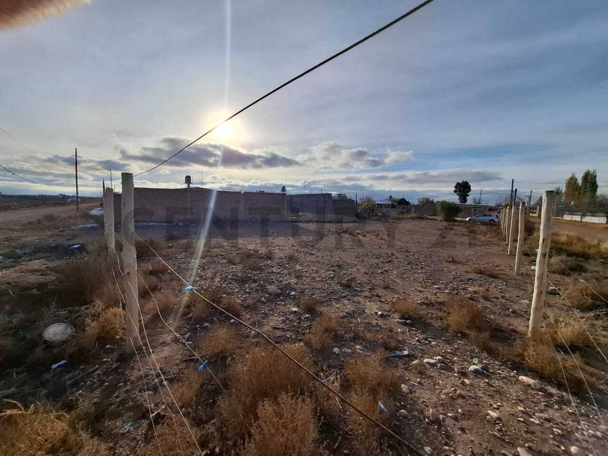 Terreno en Venta en Lujan de Cuyo, Mendoza