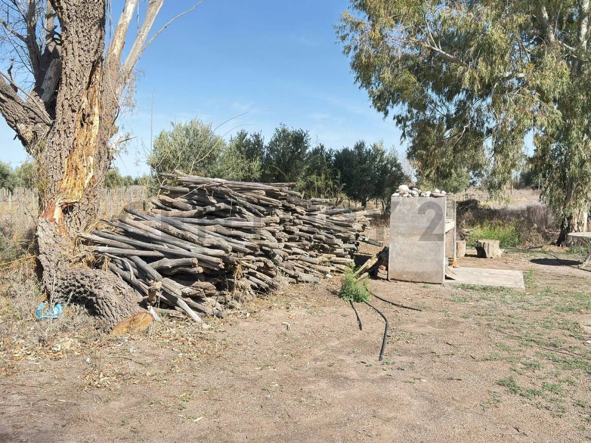 Terreno en Venta en Lavalle, Mendoza