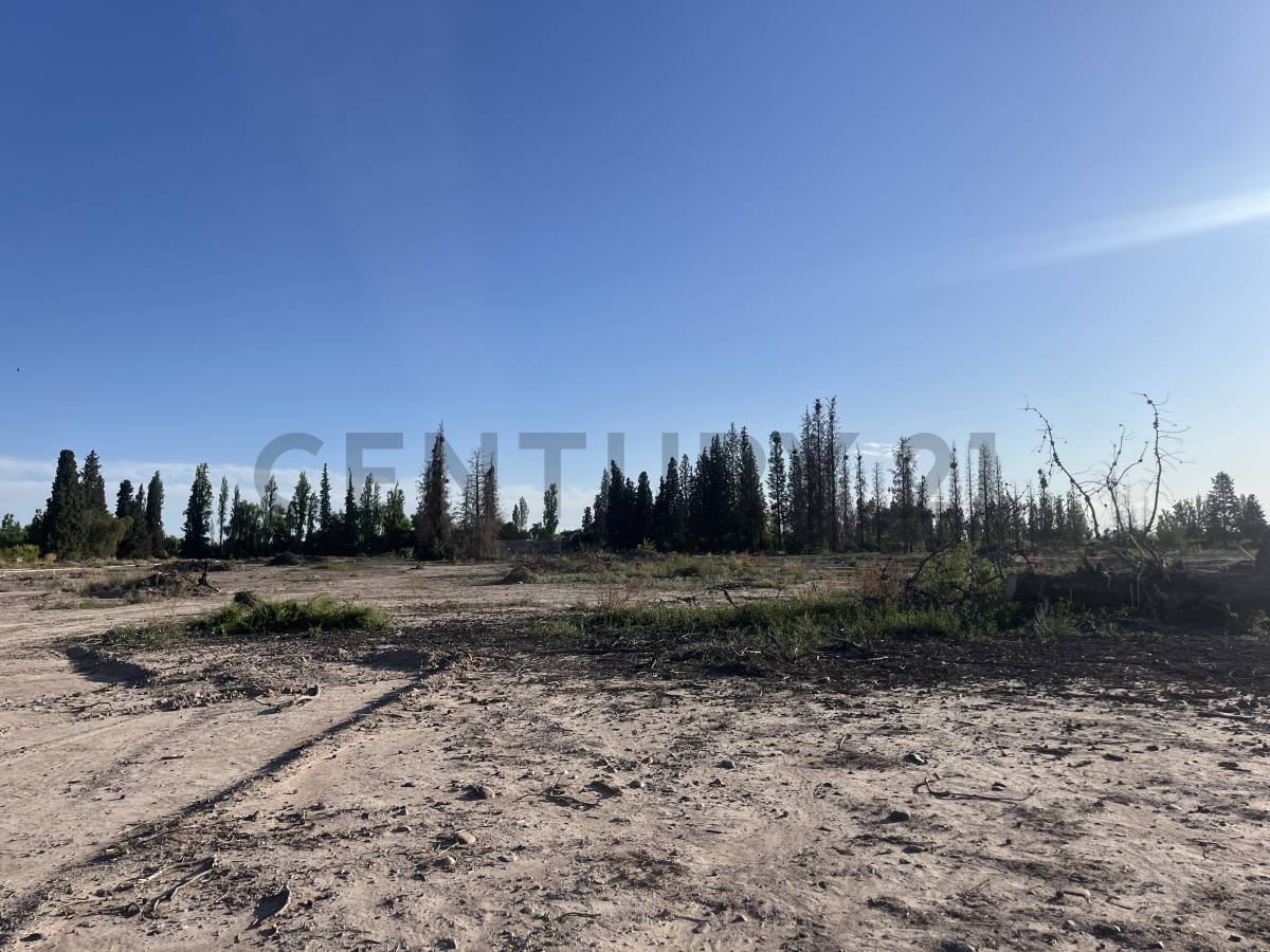 Terreno en Venta en Maipu, Mendoza