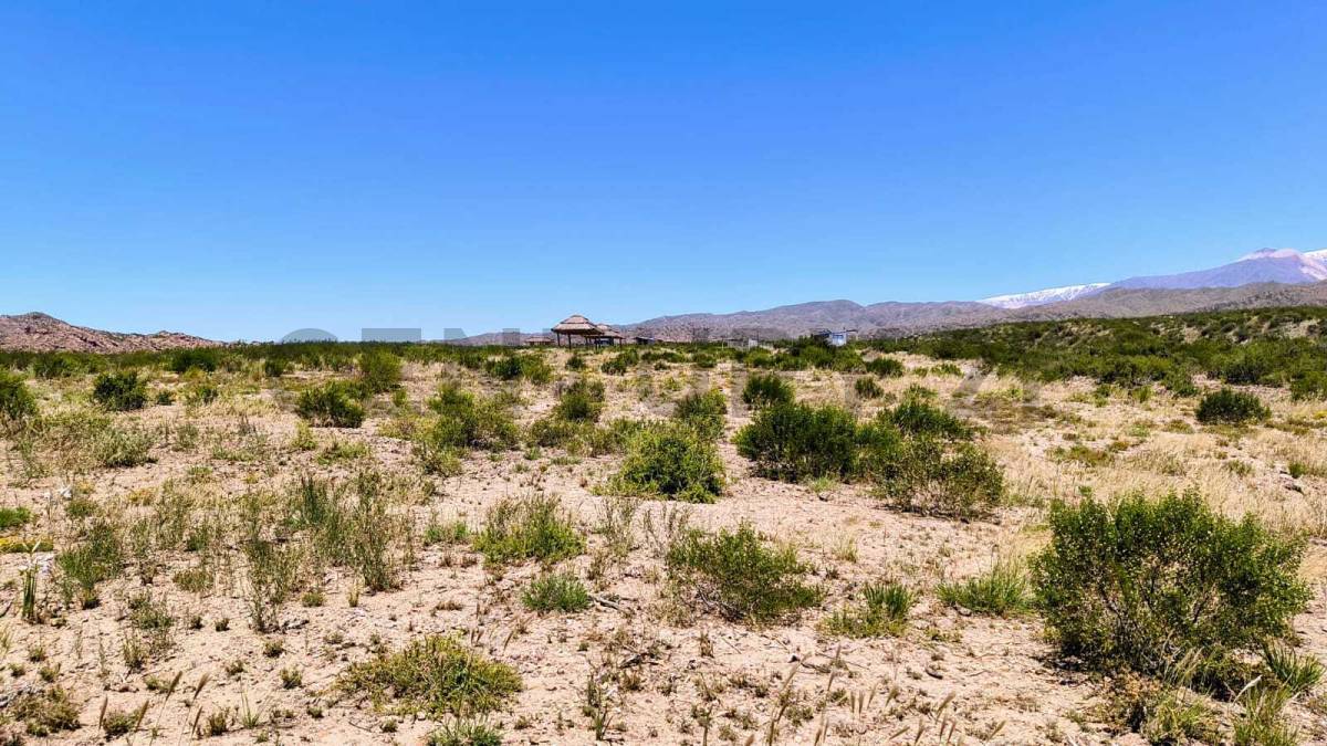 Terreno en Venta en Lujan de Cuyo, Mendoza