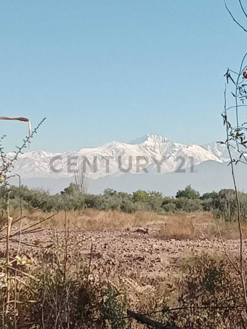 Terreno en Venta en Maipu, Mendoza