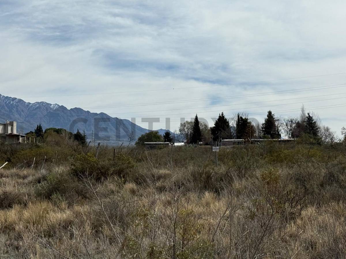 Terreno en Venta en Lujan de Cuyo, Mendoza