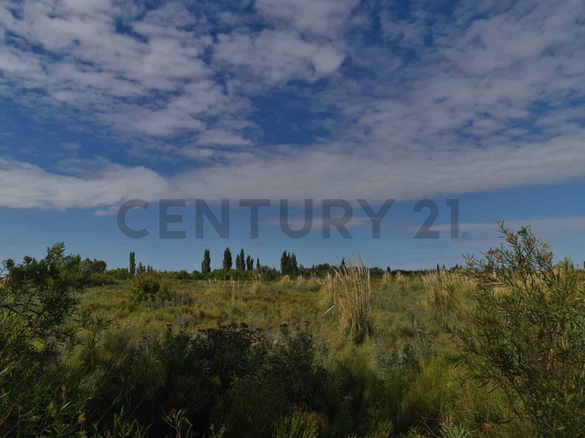 Terreno en Venta en San Rafael, Mendoza