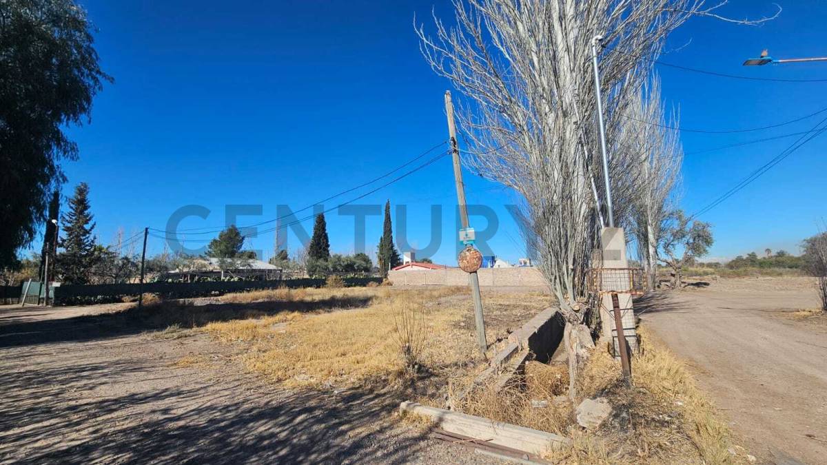 Terreno en Venta en San Martin, Mendoza