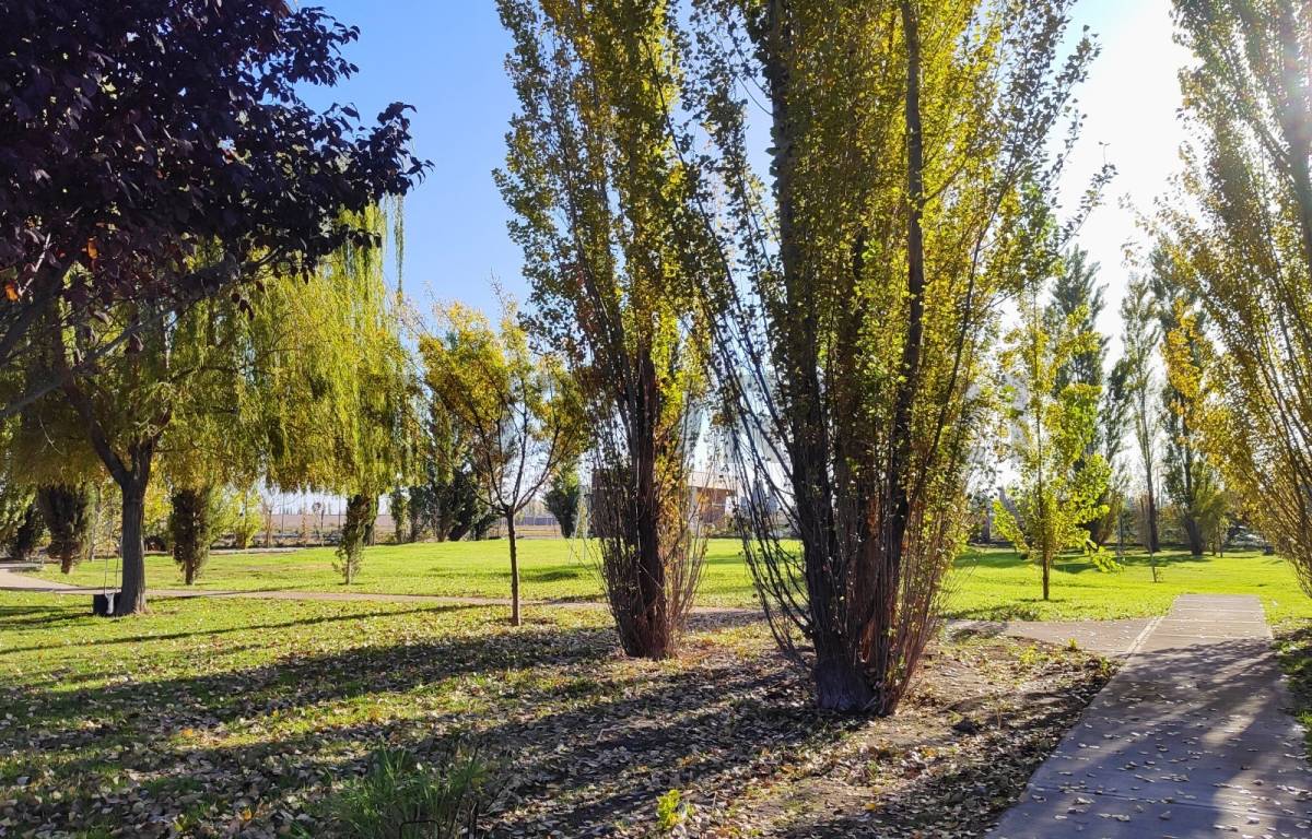 Terreno en Venta en Maipu, Mendoza