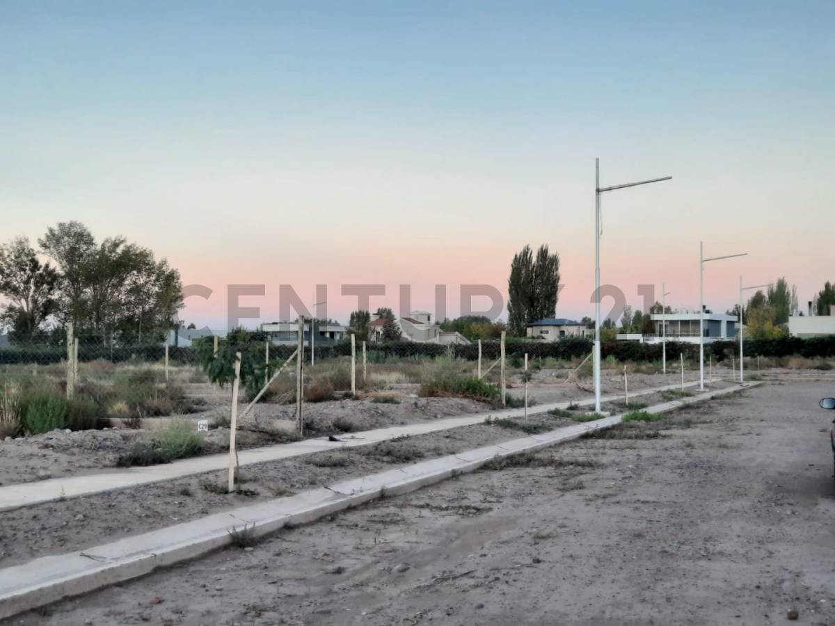 Terreno en Venta en Maipu, Mendoza