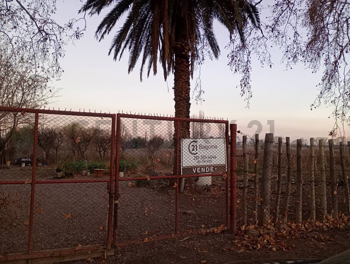 Terreno en Venta en Las Heras, Mendoza