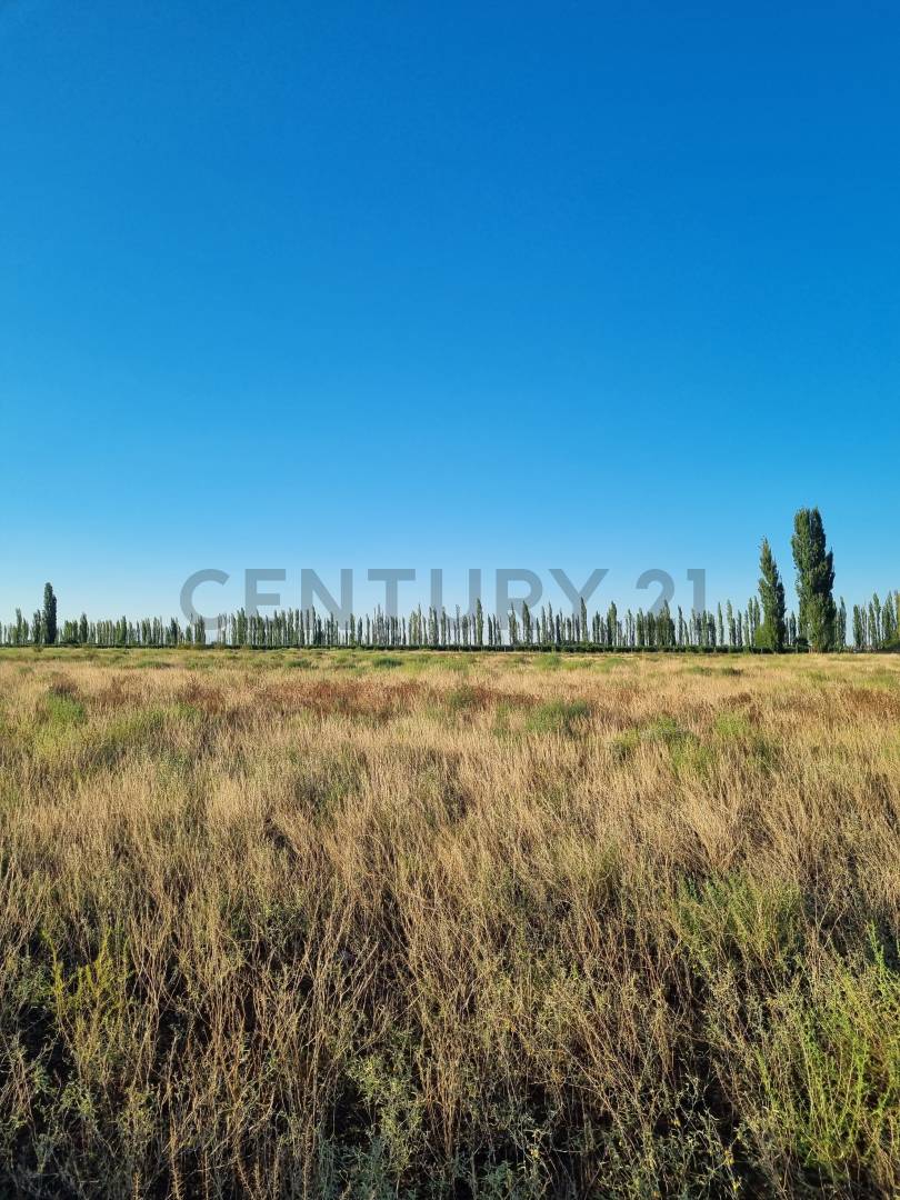 Casa Quinta en Venta en San Rafael, Mendoza