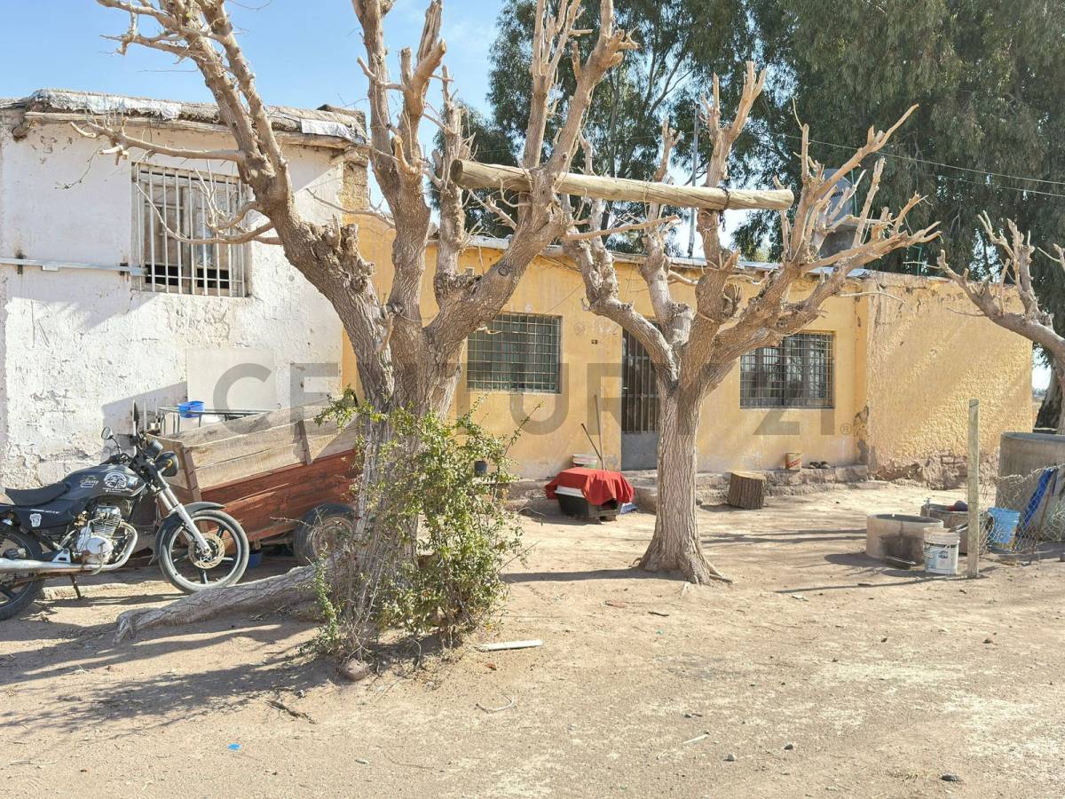 Terreno en Venta en Lavalle, Mendoza