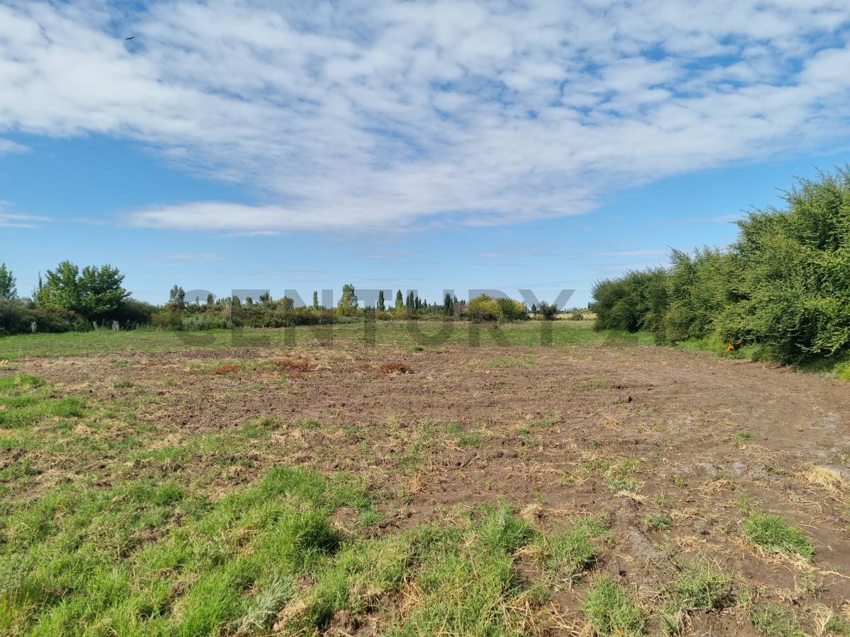 Terreno en Venta en San Rafael, Mendoza
