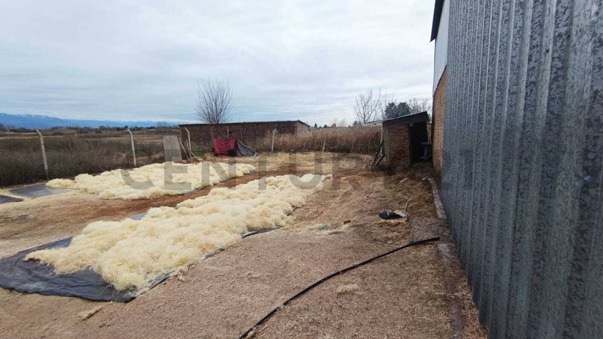 Galpon en Venta en Guaymallen, Mendoza
