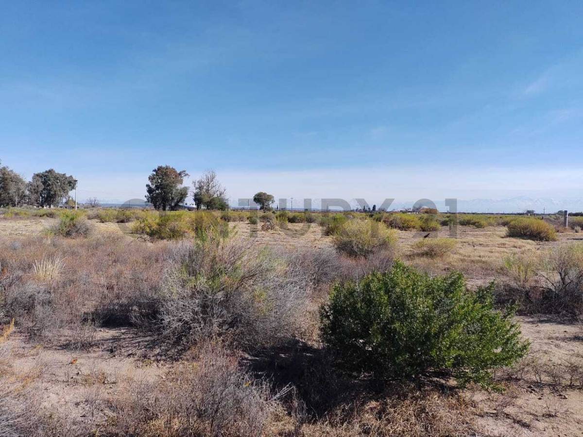 Terreno en Venta en Rivadavia, Mendoza