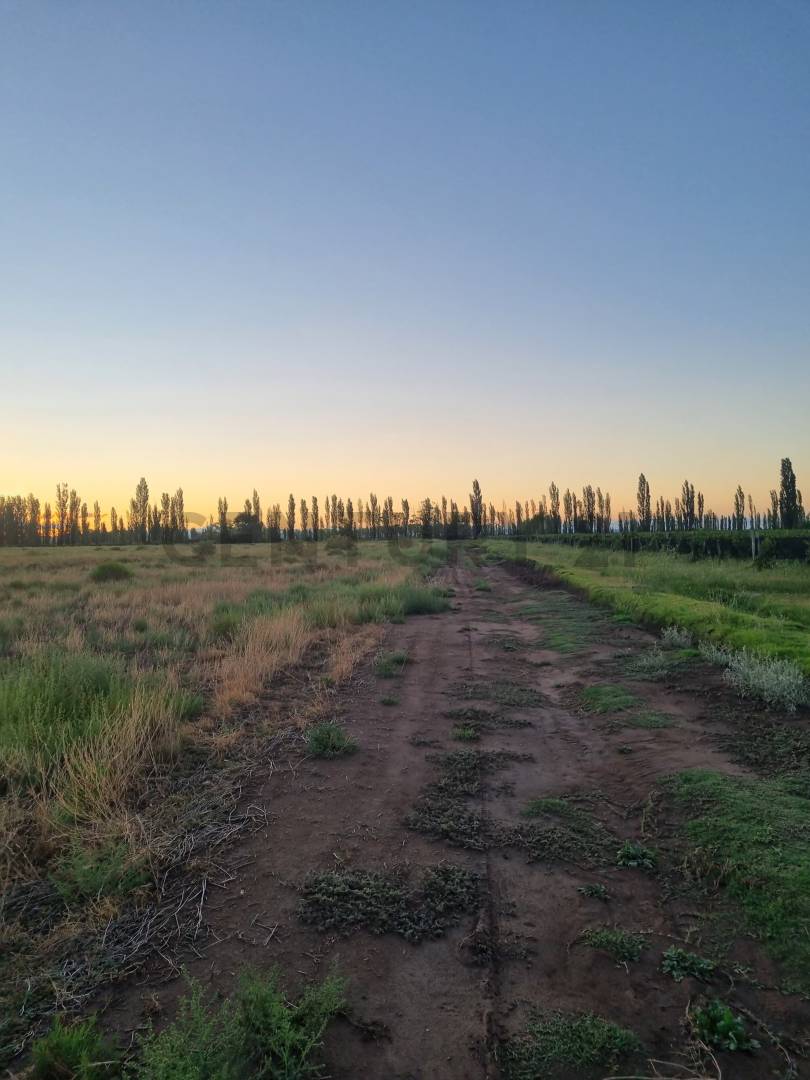 Casa Quinta en Venta en San Rafael, Mendoza